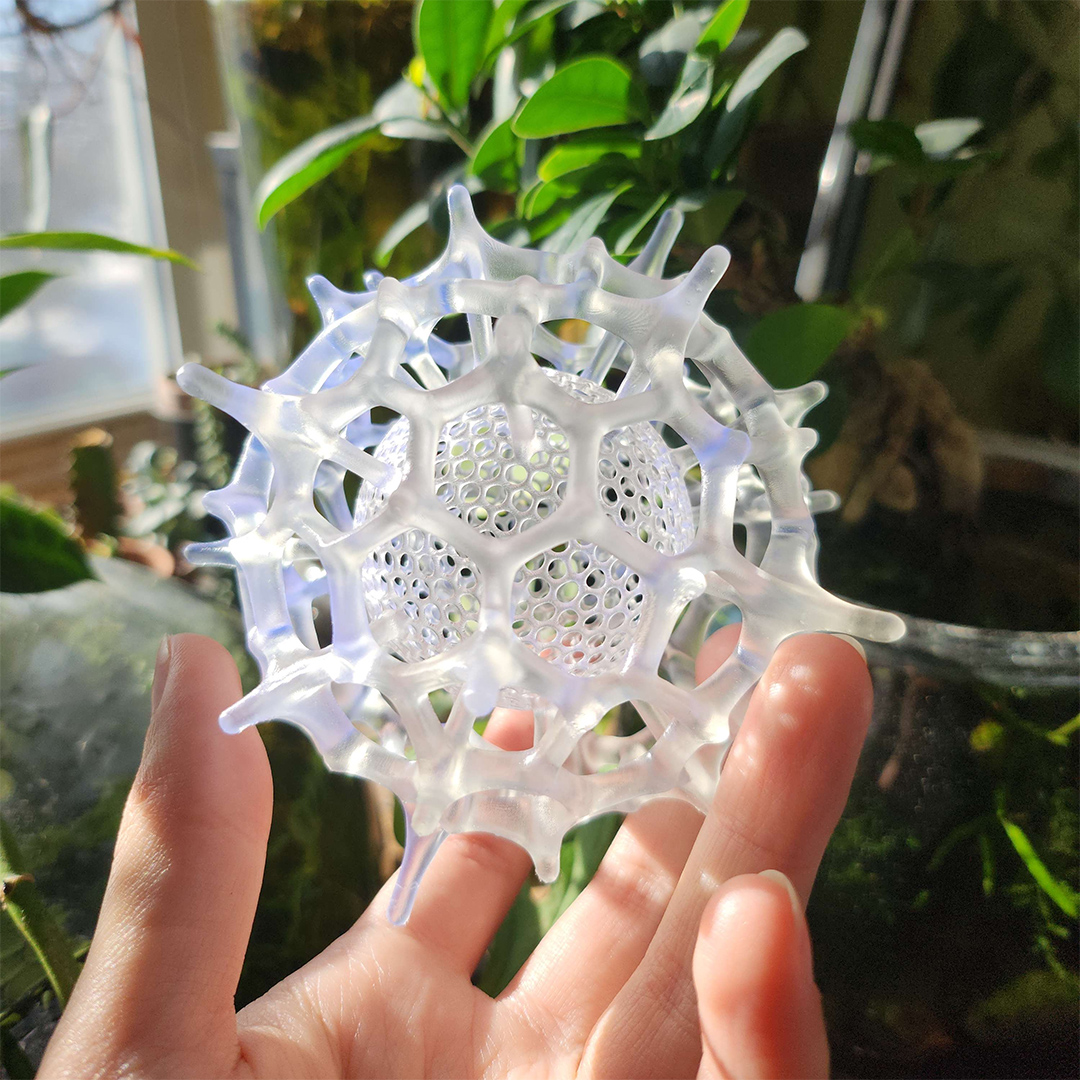 Delightful clear plastic 3D print of a planktonic radiolarian skeleton, with two inset shells composed of honeycomb-pattern lattices connected by radial spikes.
